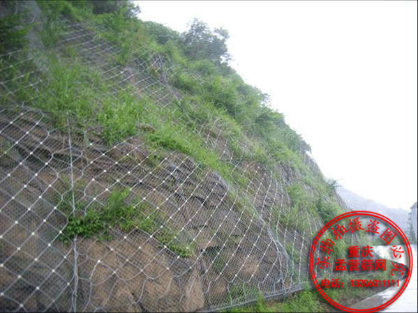 SNS主动防护网